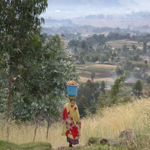 Mountain scenery - Rwanda