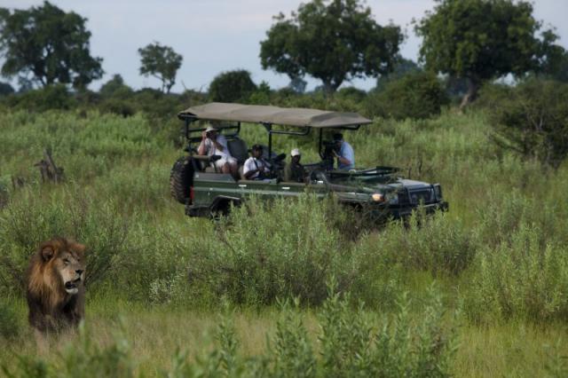 Duba Plains, Okavango Delta