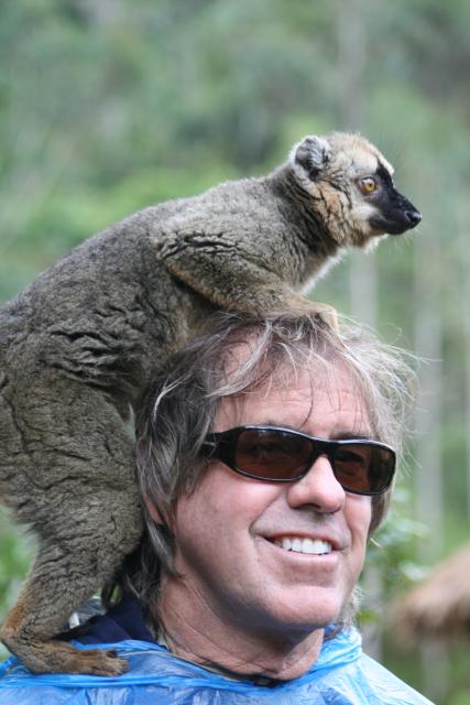 Brown lemur finds a new friend 