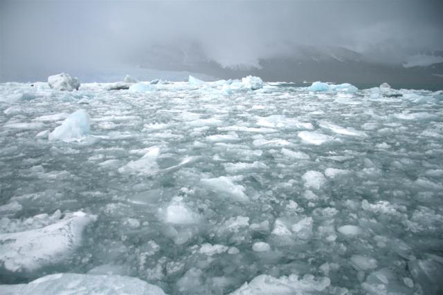 Glacial ice in Svalbard