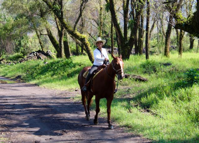 Horseback ride, Hacienda de San Antonio
