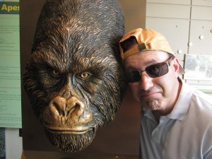 Steve Dale goes into Africa to see a gorilla, Mountain Gorilla, Kenyan wildlife, Rwandan wildlife, ecotours, 